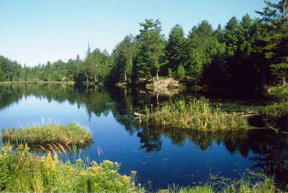 15 - Canada - parque nacional de Algonquin